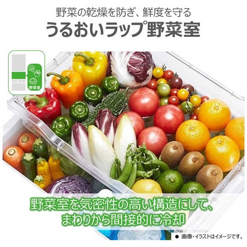 冷蔵庫 5ドア 411L 右開き VEGETA ベジータ GHシリーズ 一気冷凍 真ん中野菜室 幅60cm マットホワイト 東芝 GR-Y41GH(WU)