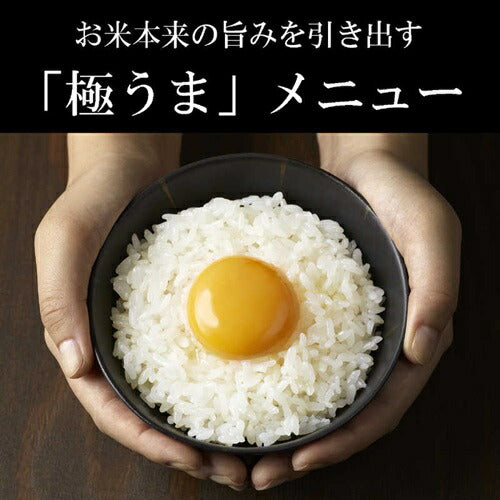 炊飯器 5.5合炊き IHジャー 炊きたて タイガー魔法瓶 JPW-L100 HD ダークグレー 少量炊き パン焼き ケーキ ひとり暮らし 新生活 お手入れ簡単