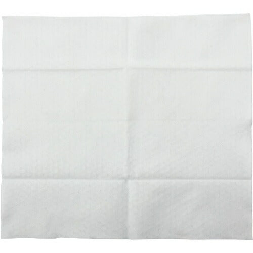 スニーカークリーナーシート 10枚入 東京企画販売 TKNT-001