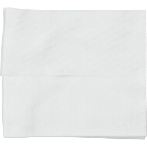 スニーカークリーナーシート 10枚入 東京企画販売 TKNT-001