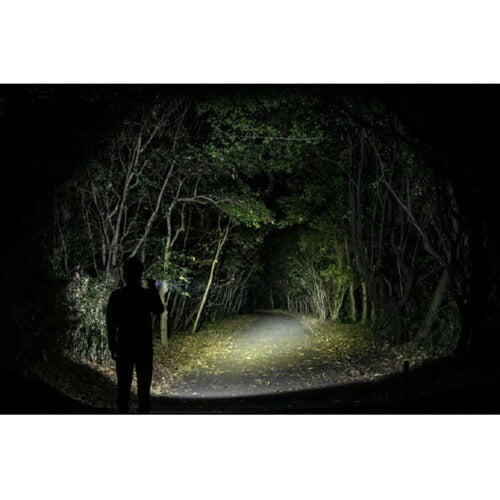 LEDハンディライト 明るさ800ルーメン STELLAシリーズ ジェントス ST-133D