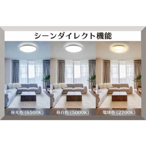 TAKIZUMI タキズミ LEDシーリングライト 12畳 GHA12919XC