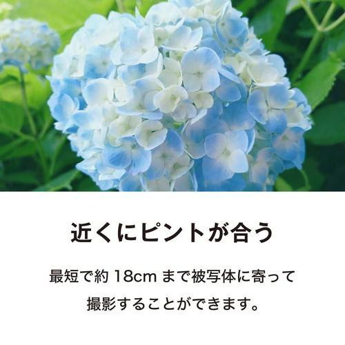 Kenko Tokina ケンコー・トキナー 防水デジタルカメラ KC-WD2000
