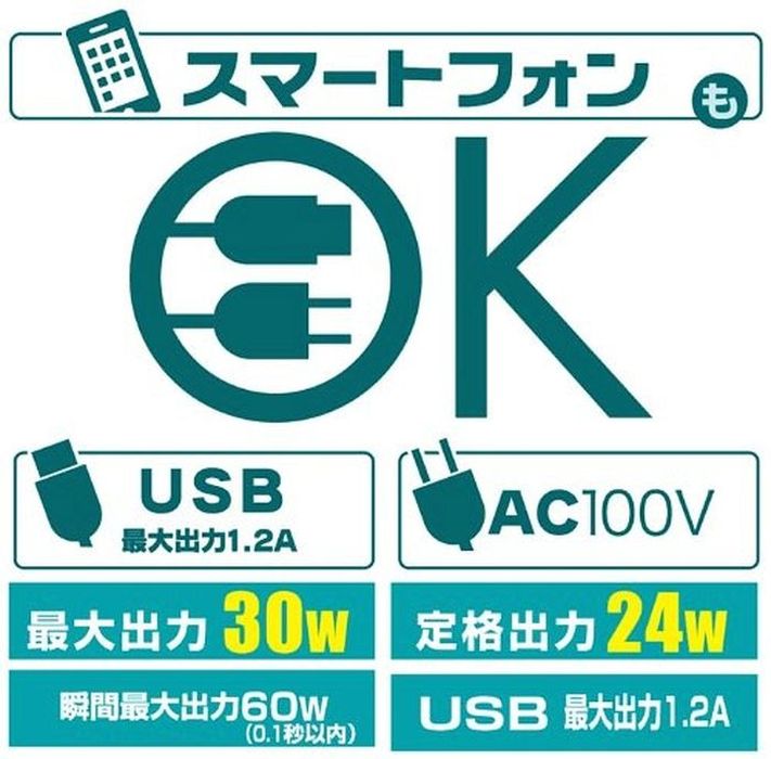 ハイブリッドインバーター FTU-30G 24V24V車専用 USB出力付 セルスター FTU-30G/24V