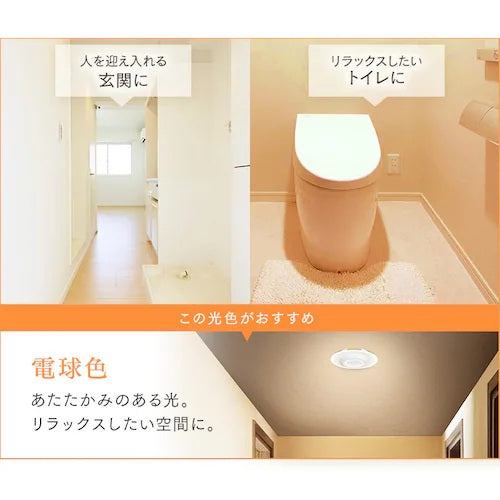 小型シーリングライト 導光板 1000lm 電球色 人感センサー付 アイリスオーヤマ SCL100L-MS-PK