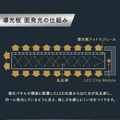 小型シーリングライト 導光板 1000lm 昼光色 人感センサー付 アイリスオーヤマ SCL100D-MS-PK