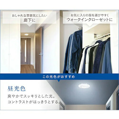 小型シーリングライト 導光板 1000lm 昼光色 人感センサー付 アイリスオーヤマ SCL100D-MS-PK