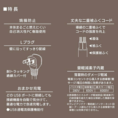 2個口タップ 雷ガード/USBポート付き 1m オーム電機 HS-TKU21W22