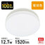 OHM オーム電機 ミニLEDシーリングライト 100形相当 LE-Y13LG-W 1520lm 電球色