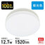 OHM オーム電機 ミニLEDシーリングライト 100形相当 LE-Y13DG-W 1520lm 昼光色