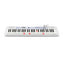 CASIO カシオ 光ナビゲーションキーボード カシオトーン LK-350 61鍵盤 マイク付属 ホワイト