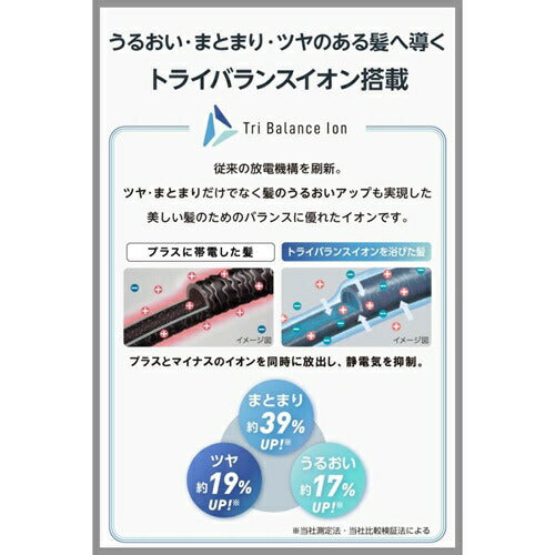テスコム Nobby プロフェッショナル ヘアドライヤー トライバランスイオン スモーキーグレー NIB400B-H