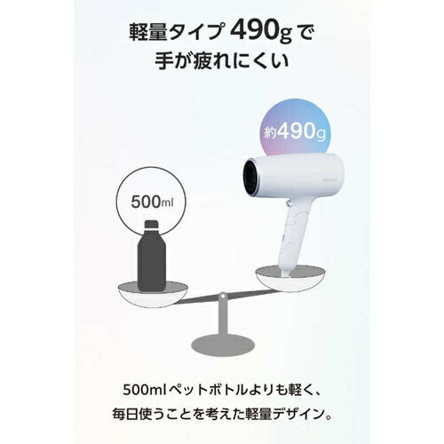 テスコム プロテクトイオン ヘアドライヤー TD561A-H 大風量 速乾 低温ケア ツヤ髪 マイナスイオン ブルーグレー