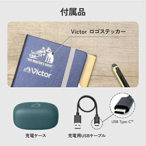 ワイヤレスイヤホン イヤーカフ型 JVCケンウッド HA-NP1T-H アイスグレー 完全ワイヤレス nearphones 音アクセ おしゃれ
