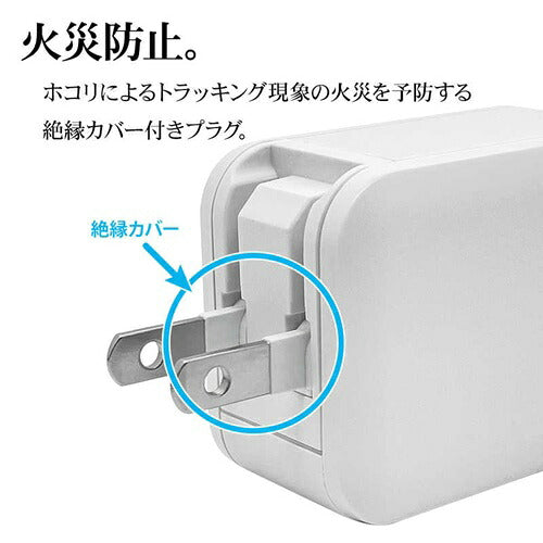 ラスタバナナ RastaBanana AC充電器 RAC2C45W01BK 45W ブラック