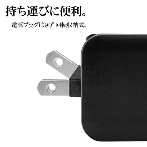ラスタバナナ RastaBanana AC充電器 RAC2C45W01BK 45W ブラック
