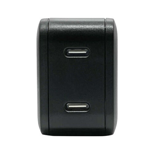 ラスタバナナ RastaBanana AC充電器 RAC2C45W01BK 45W ブラック