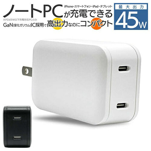 ラスタバナナ RastaBanana AC充電器 RAC2C45W01BK 45W ブラック