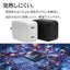 ラスタバナナ RastaBanana AC充電器 RAC2C45W01BK 45W ブラック