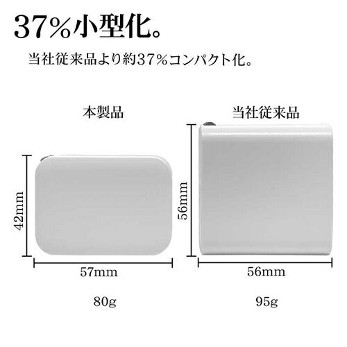 ラスタバナナ RastaBanana AC充電器 RAC2C45W01BK 45W ブラック