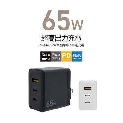 ラスタバナナ RastaBanana AC充電器 RAC2CA65W01CGRY 65W グレー