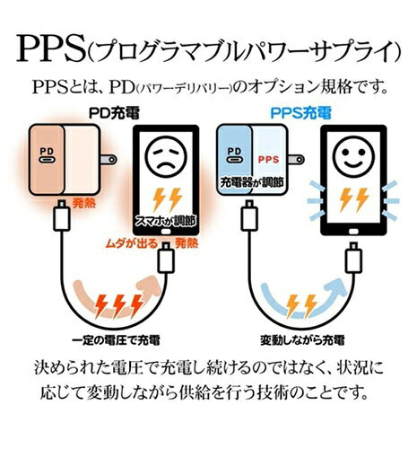 ラスタバナナ RastaBanana AC充電器 RAC2CA65W01CGRY 65W グレー