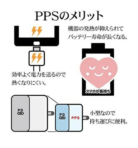 ラスタバナナ RastaBanana AC充電器 RAC2CA65W01CGRY 65W グレー