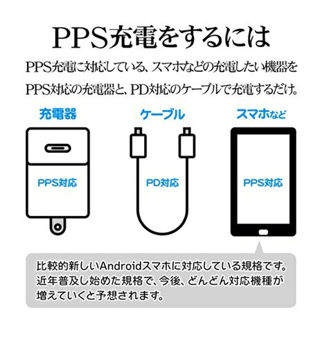 ラスタバナナ RastaBanana AC充電器 RAC2CA65W01CGRY 65W グレー