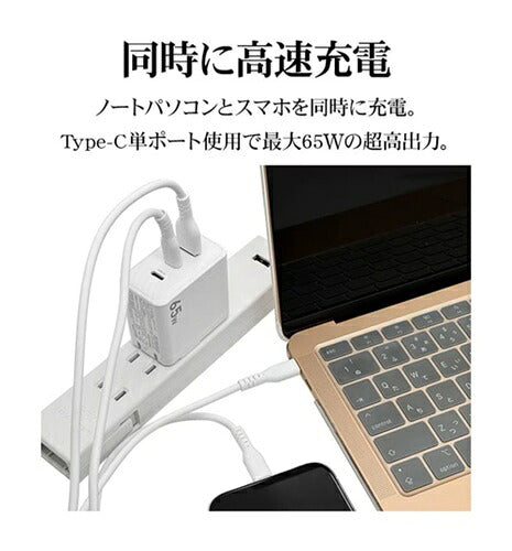 ラスタバナナ RastaBanana AC充電器 RAC2CA65W01CGRY 65W グレー