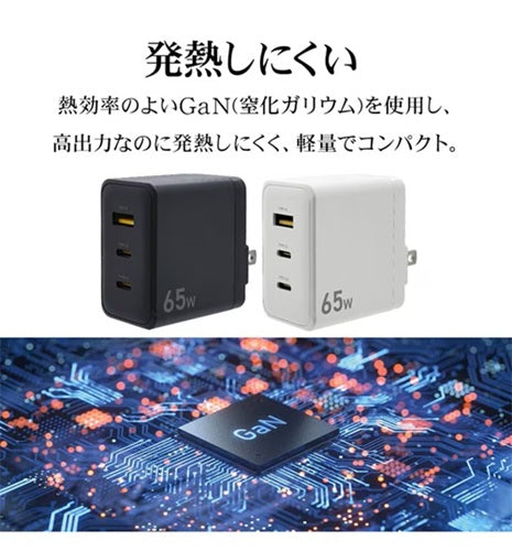 ラスタバナナ RastaBanana AC充電器 RAC2CA65W01CGRY 65W グレー