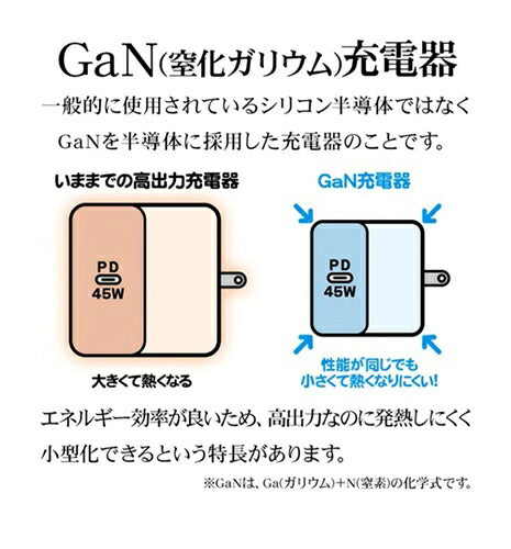 ラスタバナナ RastaBanana AC充電器 RAC2CA65W01CGRY 65W グレー