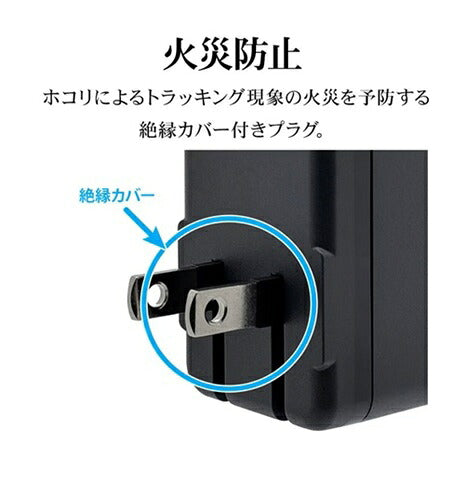 ラスタバナナ RastaBanana AC充電器 RAC2CA65W01CGRY 65W グレー