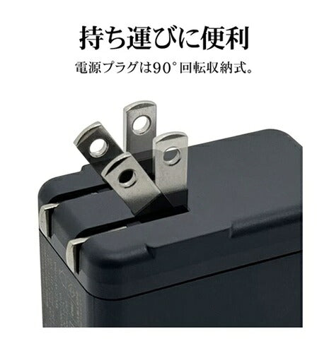 ラスタバナナ RastaBanana AC充電器 RAC2CA65W01CGRY 65W グレー
