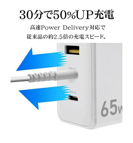 ラスタバナナ RastaBanana AC充電器 RAC2CA65W01CGRY 65W グレー