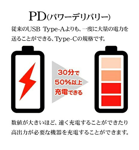 ラスタバナナ RastaBanana AC充電器 RAC2CA65W01CGRY 65W グレー