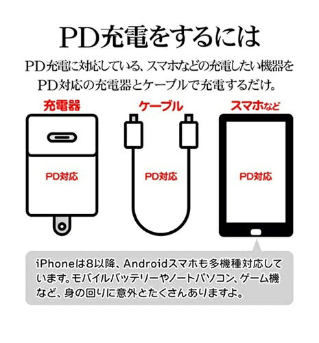 ラスタバナナ RastaBanana AC充電器 RAC2CA65W01CGRY 65W グレー