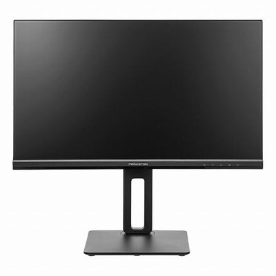 PRINCETON プリンストン 23.8型PCモニター PTF-B241WS-BK ブラック FHD