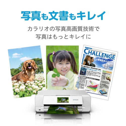 Epson エプソン A3カラーインクジェット複合機 Colorio カラリオ EP-988A3