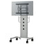 HAYAMI ハヤミ工産 変換金具 QP-C600B ブラック