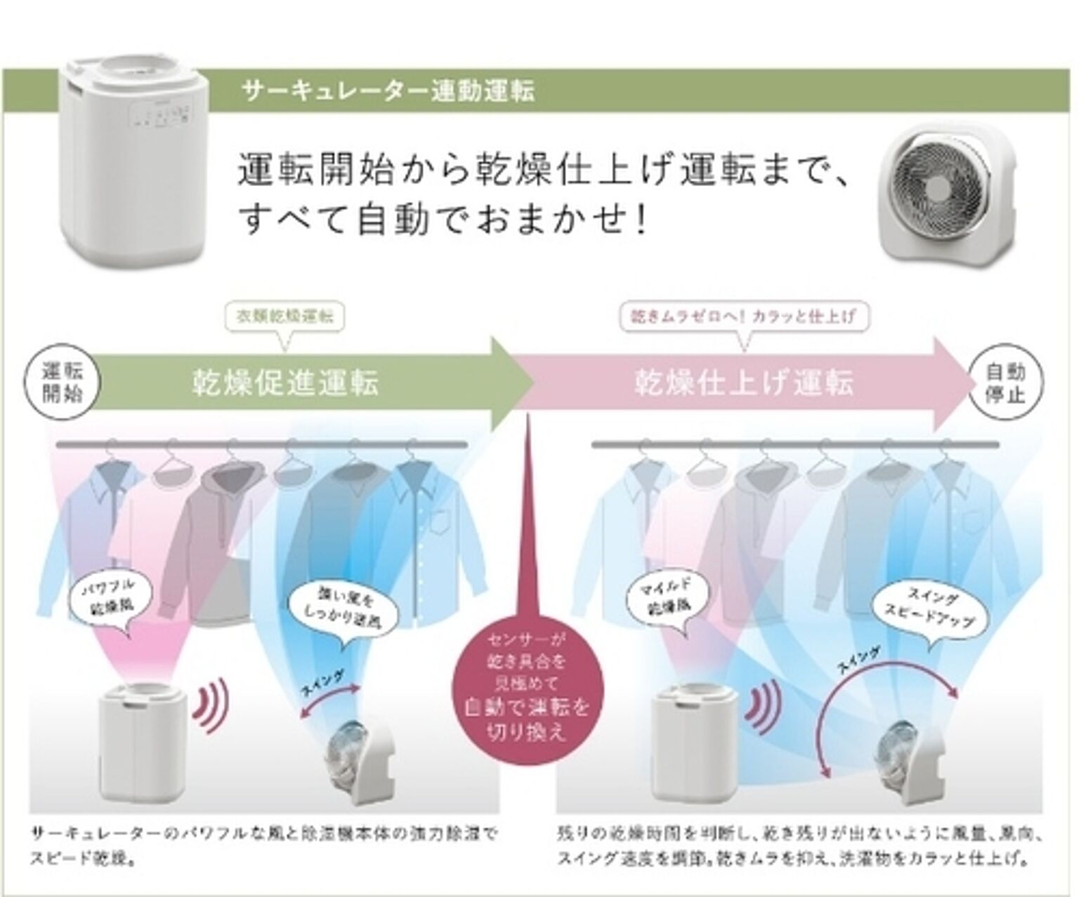 サーキュレーター連動 衣類乾燥除湿機 CDSCタイプ ホワイト コロナ CDSC-H8024X(W)