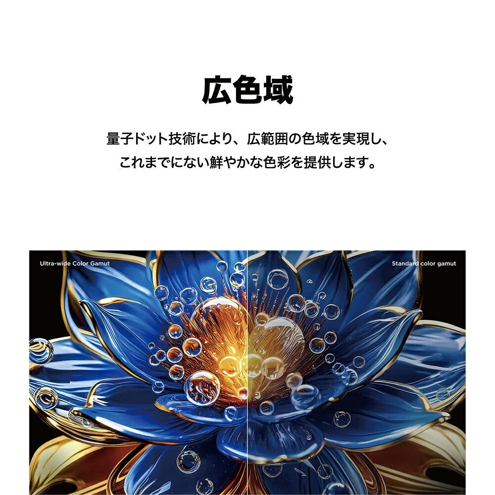 TCL ティーシーエル フルハイビジョン量子ドット液晶テレビ 32S5K 32V型 Google TV搭載