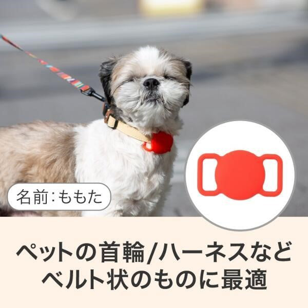 スマートタグアクセサリ ペットケース グレー 1個 グリーンハウス GH-SMAPA-GY