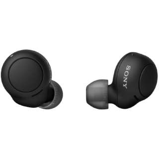 完全ワイヤレスイヤホン ソニー SONY イヤホン ワイヤレス 左右分離 Bluetooth ブラック WF-C500-BZ