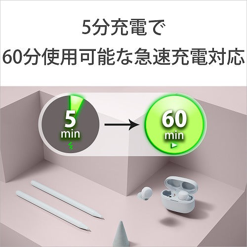 SONY 完全ワイヤレスイヤホン LinkBuds S WF-LS900N-WC ホワイト ソニー リンクバッズ WF-LS900N ノイズキャンセリング対応
