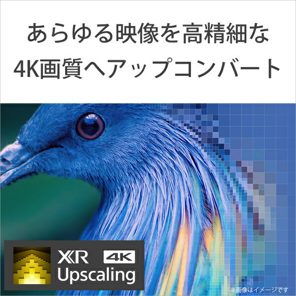 4K有機ELテレビ SONY XRJ-48A90K