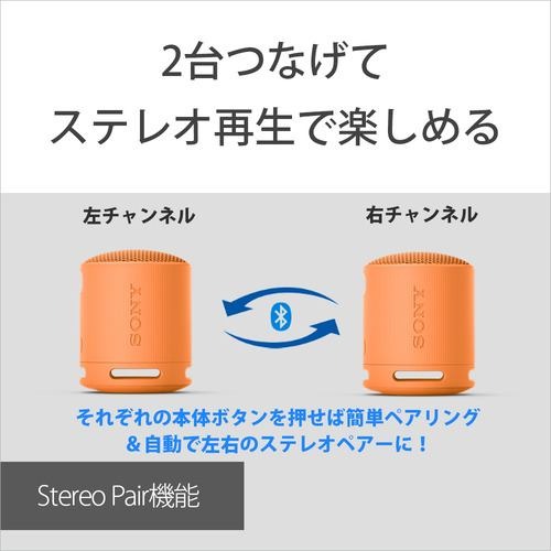 ワイヤレスポータブルスピーカー Bluetooth ブラック ソニー SRS-XB100 BC