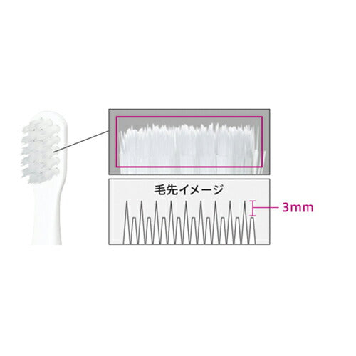 電動歯ブラシ ポケットドルツ 青 パナソニック EW-DS1C
