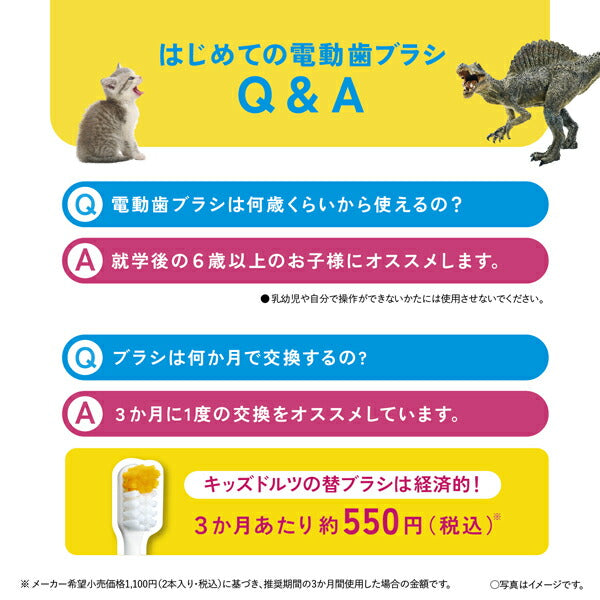 音波振動ハブラシ 電動歯ブラシ キッズドルツ ピンク パナソニック EW-DK31-P
