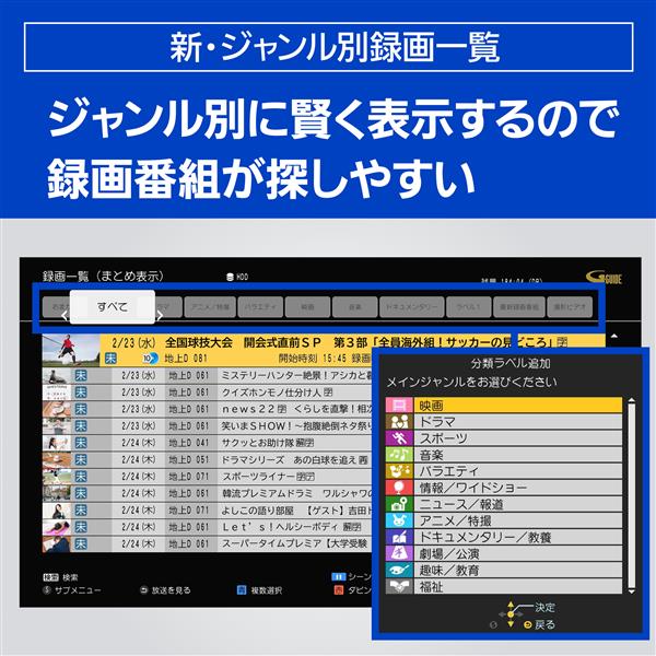 ブルーレイレコーダー DIGA 2TB 3番組同時録画 BS CS 4Kチューナー内蔵 Panasonic DMR-4T203