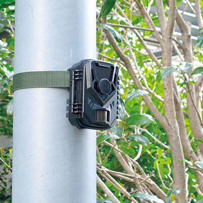 電池式センサーカメラ キャロットシステムズ AT-1